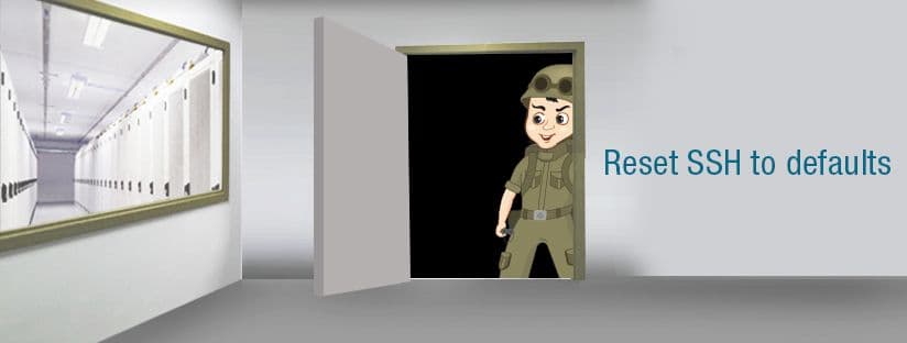 Reset SSH server to defaults using WHM