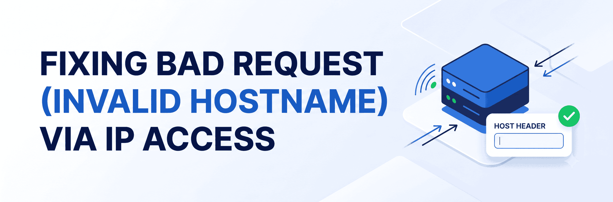 Bad Request (Invalid Hostname) when accessing via IP