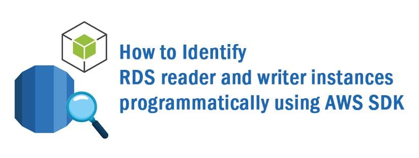 How to Identify RDS Reader and Writer Instances Programmatically Using AWS SDK