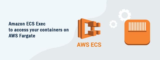 Amazon ECS Exec to access your containers on AWS Fargate Skip to end of metadata
