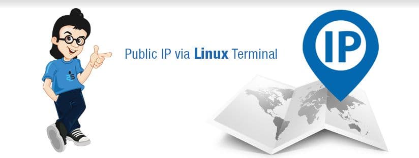 Identify your public IP via Linux Terminal