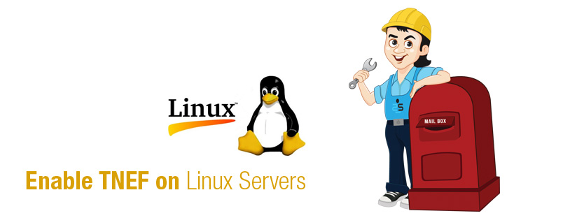 Enable TNEF on Linux Servers