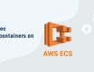 Amazon ECS Exec to access your containers on AWS Fargate Skip to end of metadata